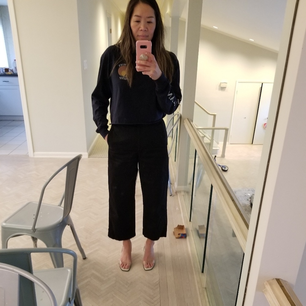Aritzia Walsh Pant
